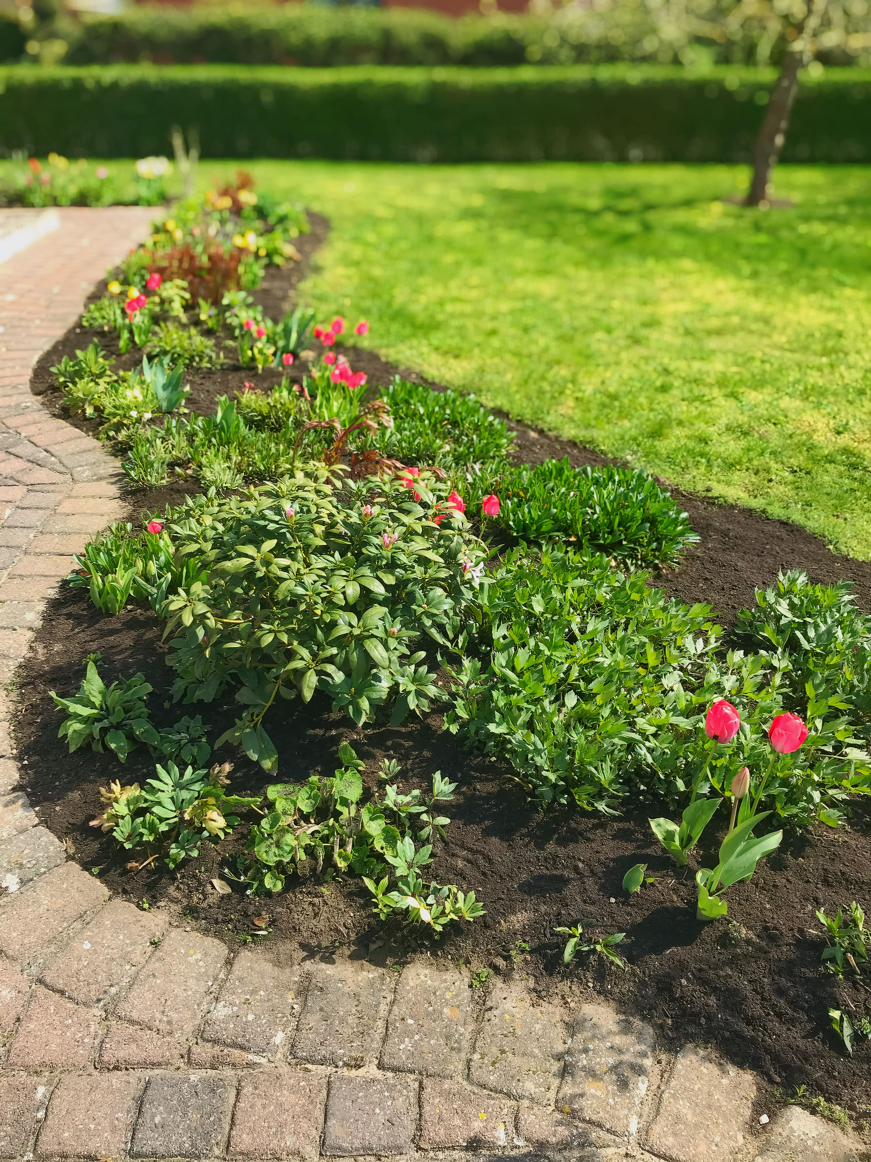 Mein Garten | Garten- & Grün­flächenpflege