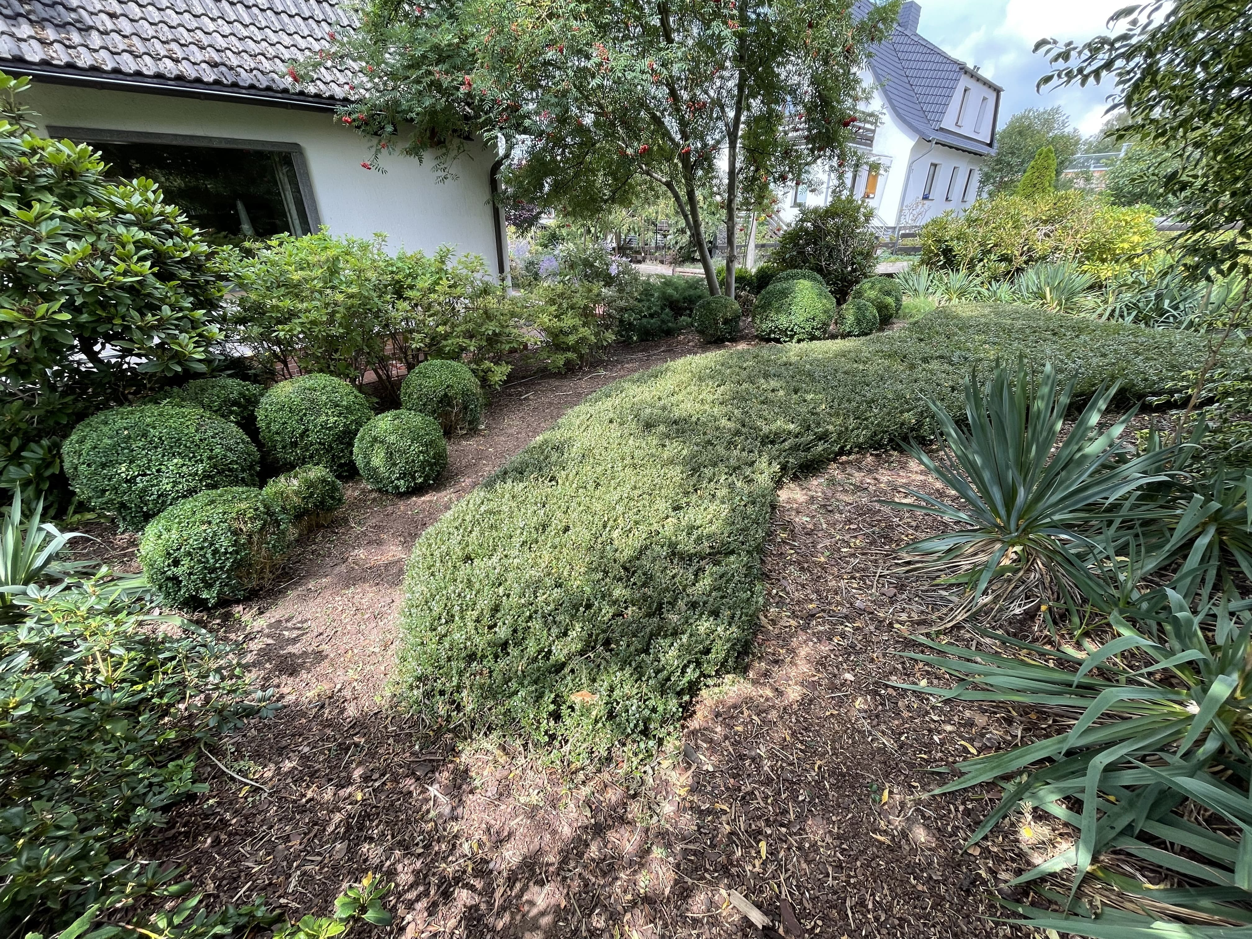 Mein Garten | Gartengestaltung