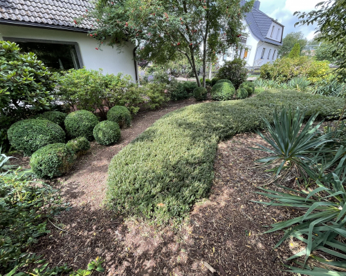 Mein Garten | Garten- & Grünflächenpflege