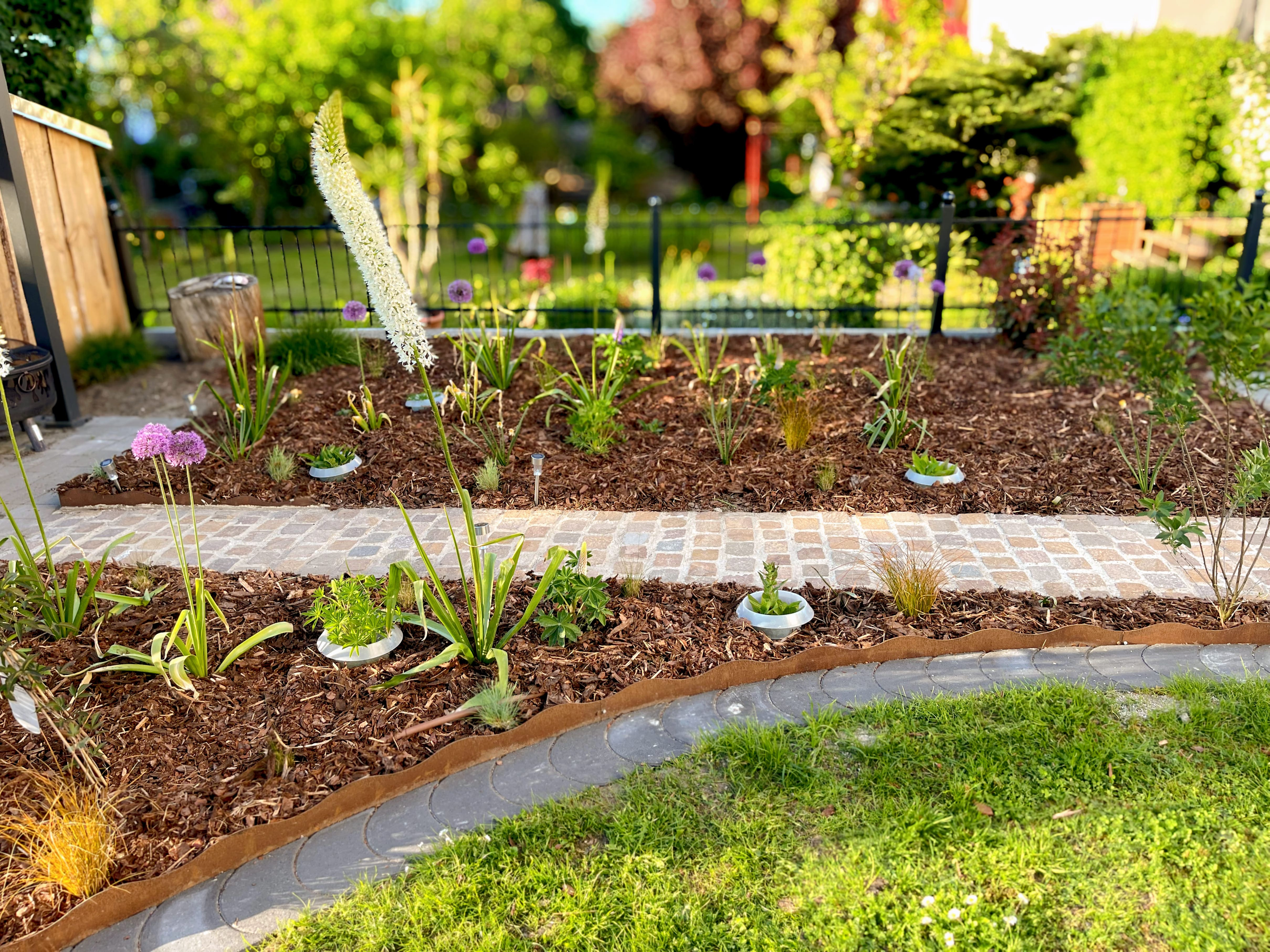 Mein Garten | Gartengestaltung