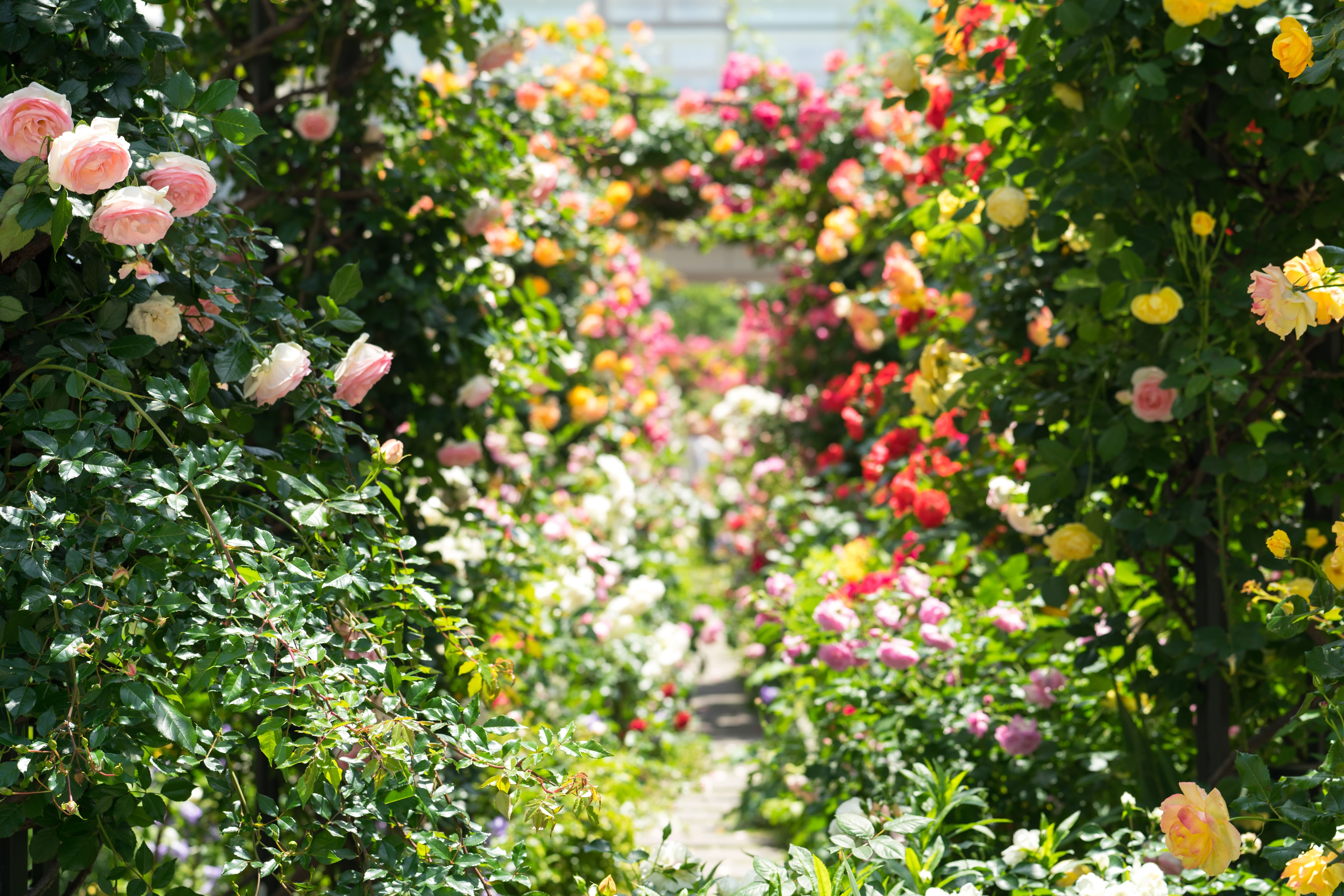 Mein Garten | Bewässerungstechnik