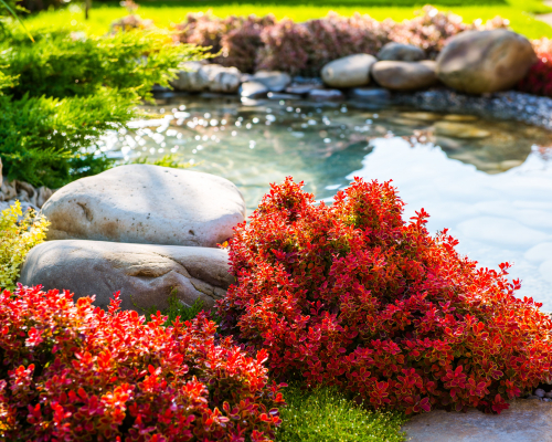 Mein Garten | Gartengestaltung Teich