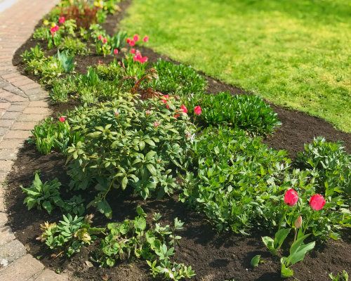 Mein Garten | Garten- & Grünflächenpflege