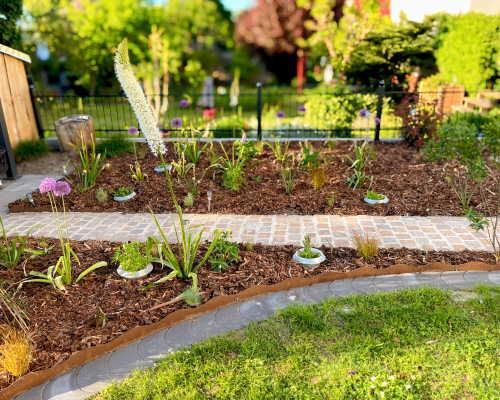 Mein Garten | Gartengestaltung