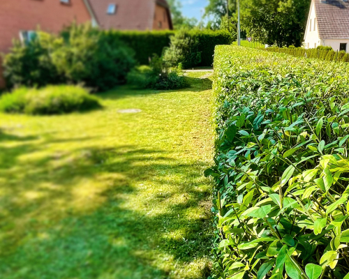 Mein Garten | Garten- & Grünflächenpflege